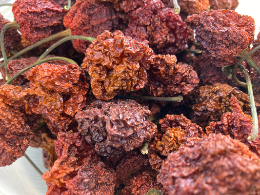 Chocolate 7 Pot Pepper - Dried Whole Super Hot Pods