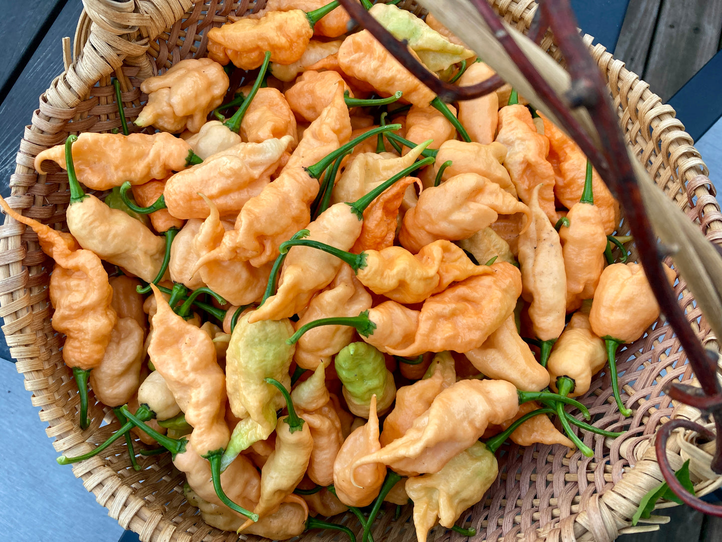 Jay's Peach Ghost Scorpion Pepper - Fresh Picked Super Hot